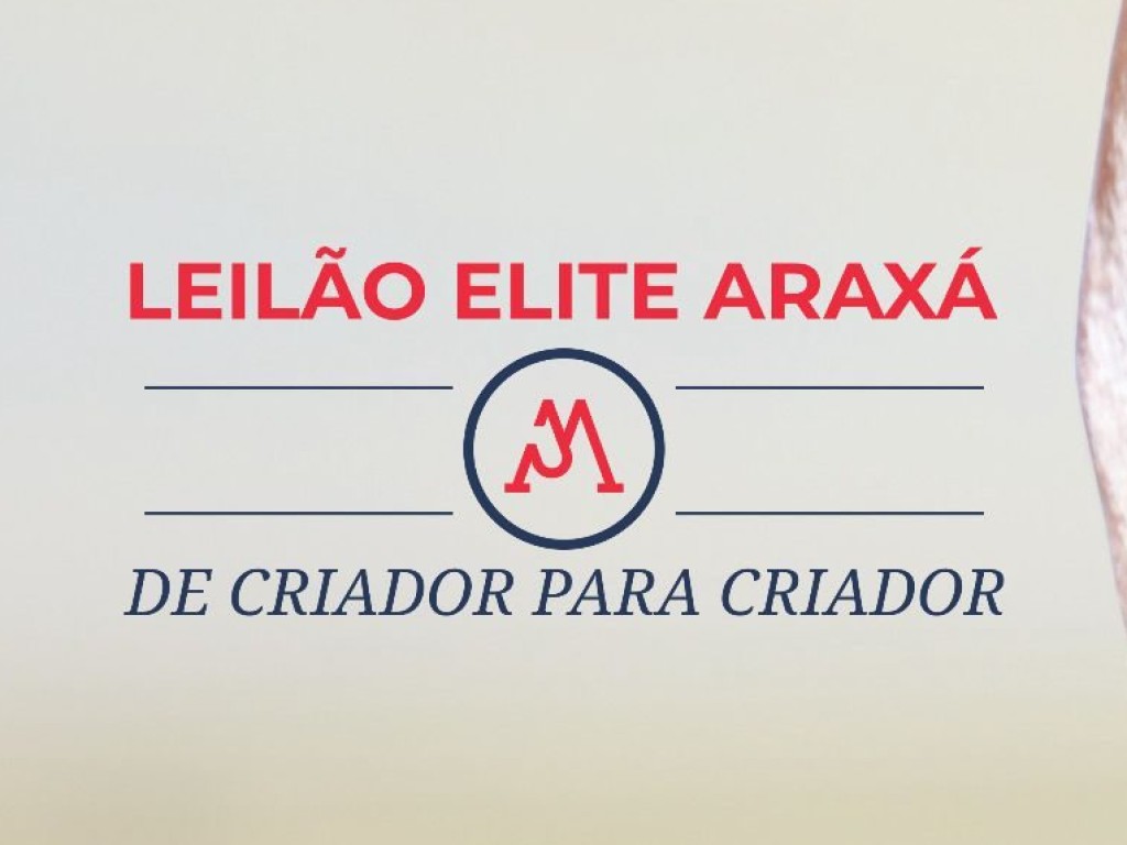 Galeria de Fotos