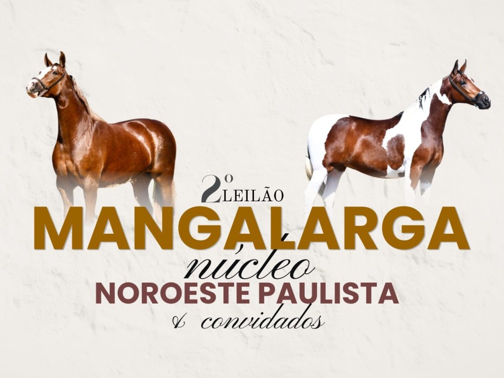 Galeria de Fotos
