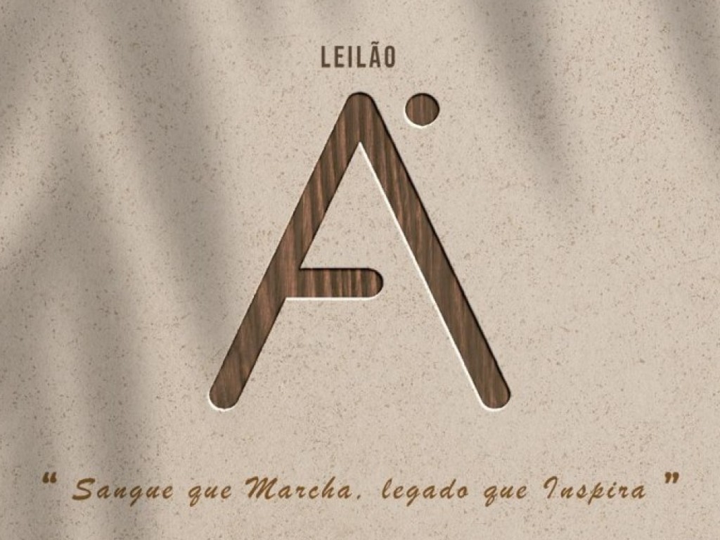 Galeria de Fotos