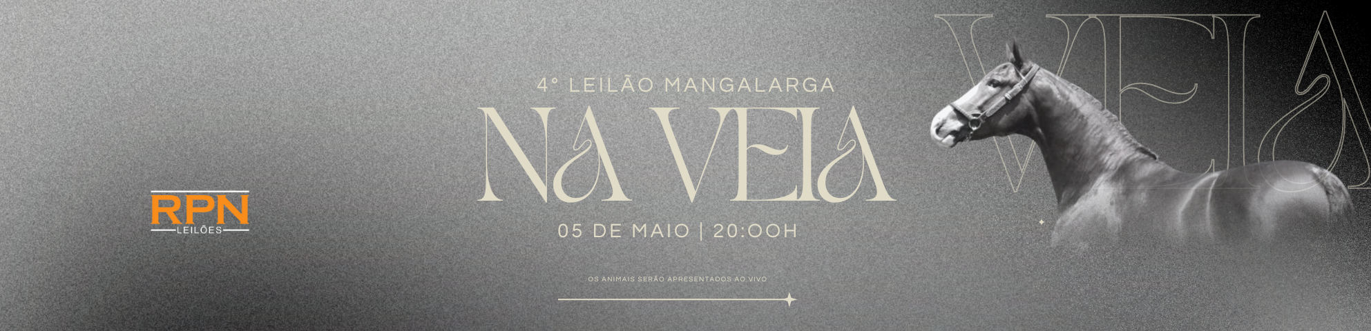 Slide 4-LEILAO-MANGALARGA-NA-VEIA