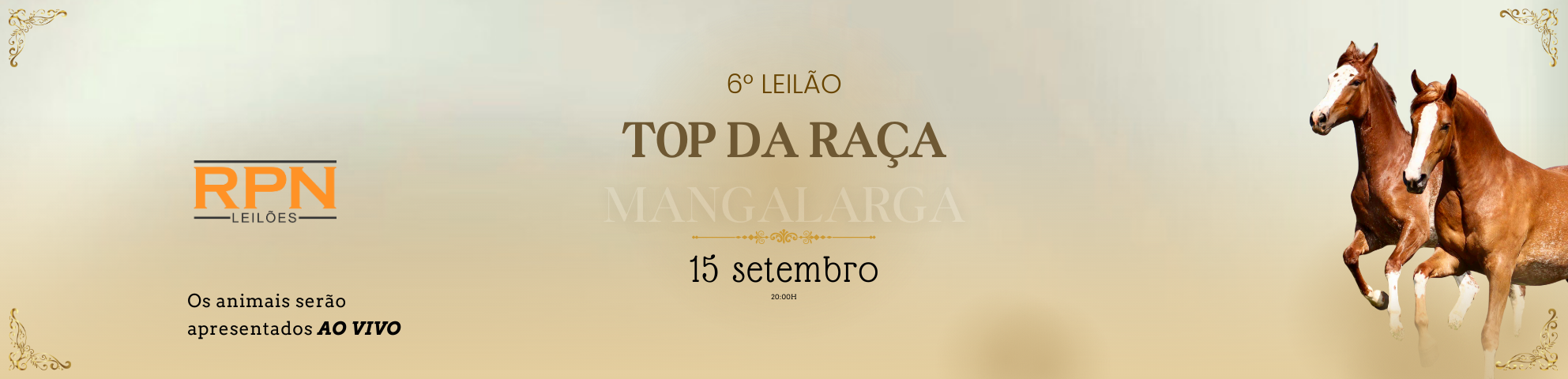 Slide 6-LEILAO-TOP-RACA-MANGALARGA