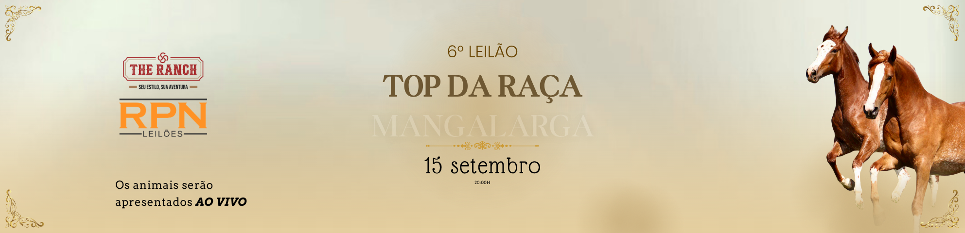 Slide 6-LEILAO-TOP-RACA-MANGALARGA