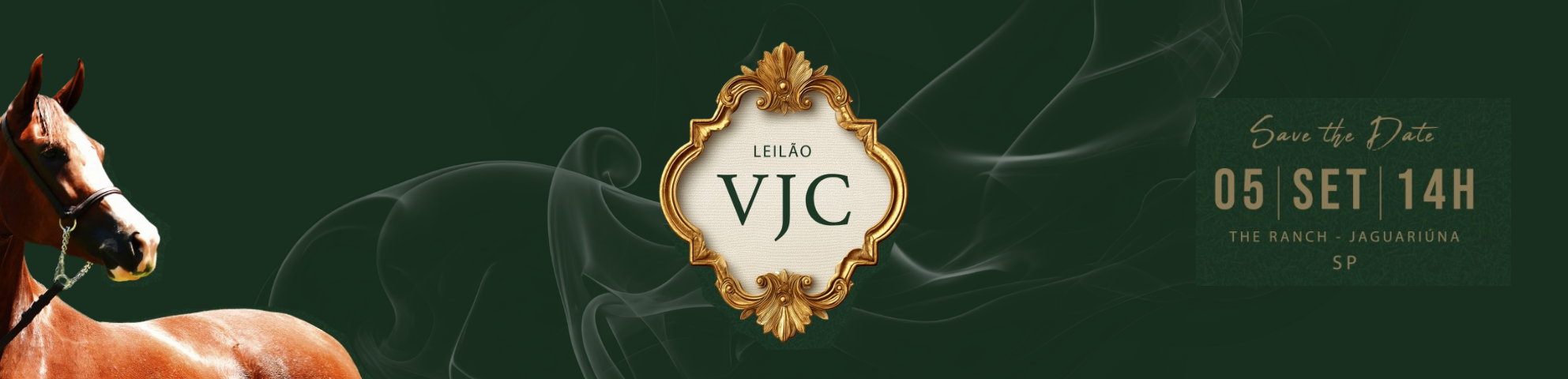 Slide 2-LEILAO-HARAS-VJC-FOCO-NO-EQUILIBRIO