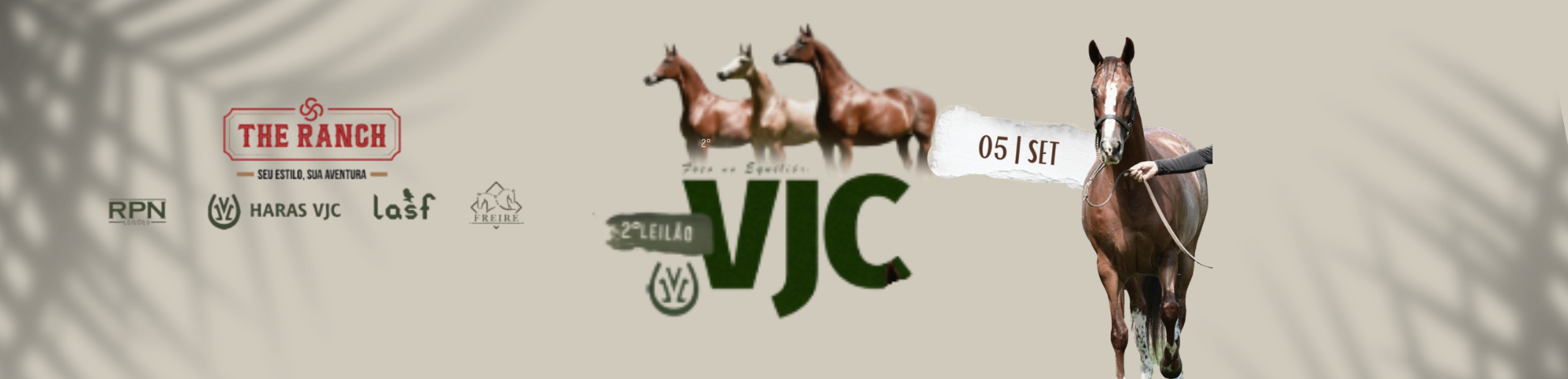 Slide 2-LEILAO-HARAS-VJC-FOCO-NO-EQUILIBRIO