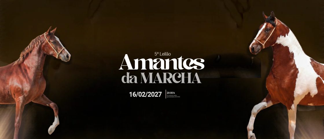 Slide 5° LEILÃO AMANTES DA MARCHA