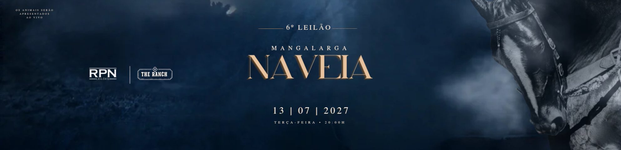 Slide 6° LEILÃO MANGALARGA NA VEIA