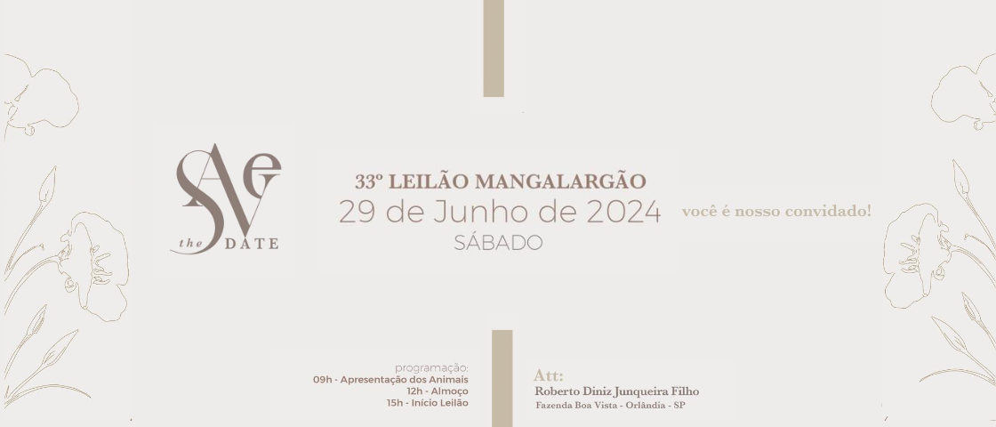 Slide 33° LEILÃO MANGALARGÃO