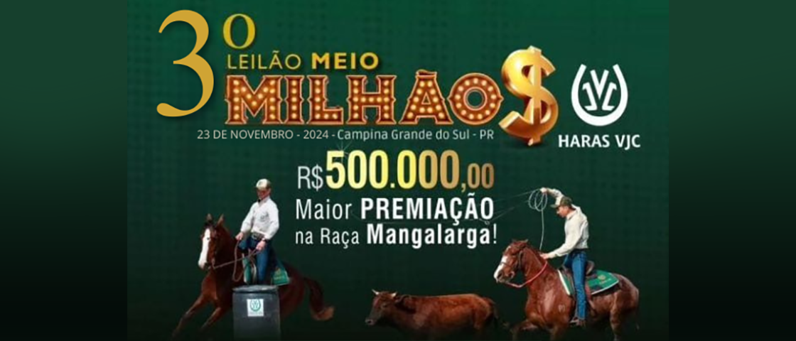 Slide 3O-LEILAO-MEIO-MILAO