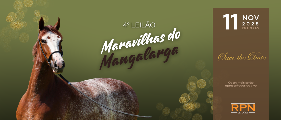 Slide 4O-LEILAO-MARAVILHAS-DO-MANGALARGA-LIVE-STREAM