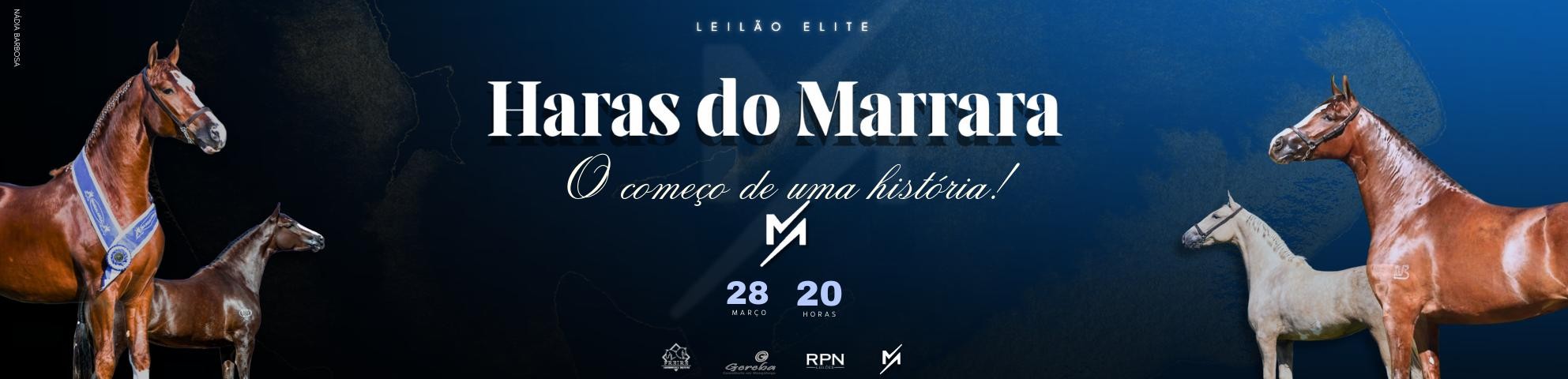 Slide LEILÃO ELITE HARAS DO MARRARA
