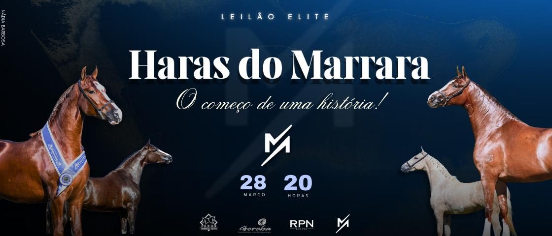Slide LEILÃO ELITE HARAS DO MARRARA