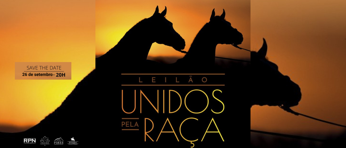 Slide LEILÃO UNIDOS PELA RAÇA