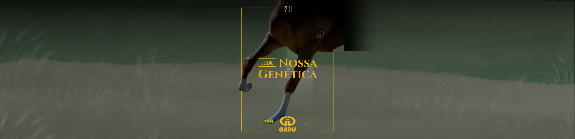 Slide 4O-LEILAO-NOSSA-GENETICA-HARAS-GADU