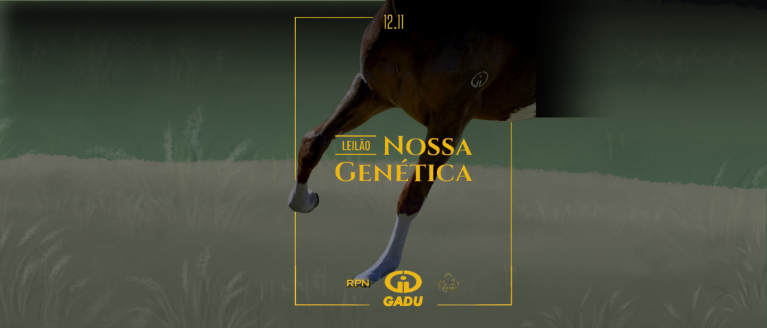 Slide 4O-LEILAO-NOSSA-GENETICA-HARAS-GADU